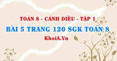 Bài 5 trang 120 SGK Toán 8 tập 1 Cánh Diều